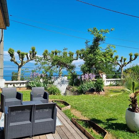 Appartement Cozy 1 Panoramique Lac Leman Thonon-Les-Bains Exterior photo